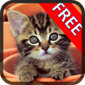 Angela Cat Free Games icon