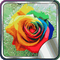 4D Rose Live Wallpaper icon