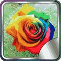 4D Rose Live Wallpaper 1.0