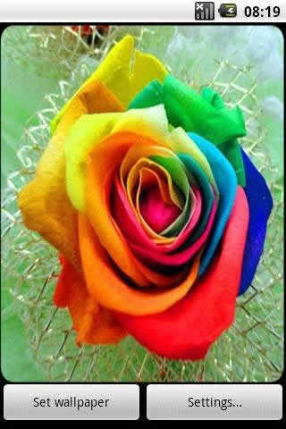 4D Rose Live Wallpaper स्क्रीनशॉट 1
