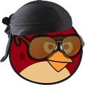Angry Birds Cool 1.0