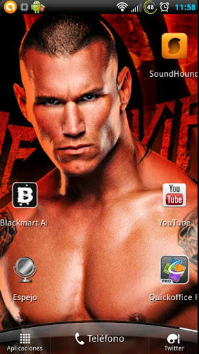 WWE Superstar Gallery स्क्रीनशॉट 2