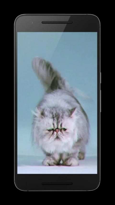 Cats Video 3D LWP screenshot 7
