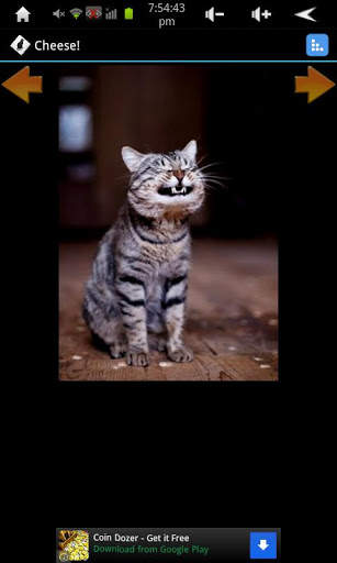 Daily cat screenshot 1