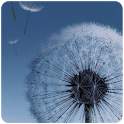iWallpapers 2.3