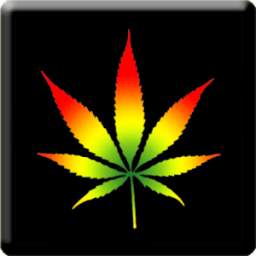 3D Rasta Weed Live Wallpaper 1.2