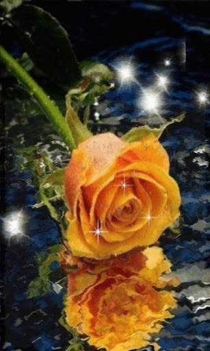 Orange Waterdrop Rose Live Wal screenshot 2