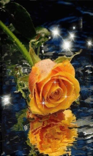 Orange Waterdrop Rose Live Wal screenshot 1