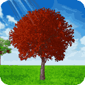 3D Tree Live Wallpaper icon