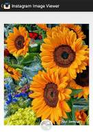 Instagram Image Viewer screenshot 3