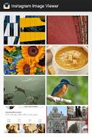 Instagram Image Viewer screenshot 2