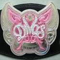 WWE Divas Gallery 1.3