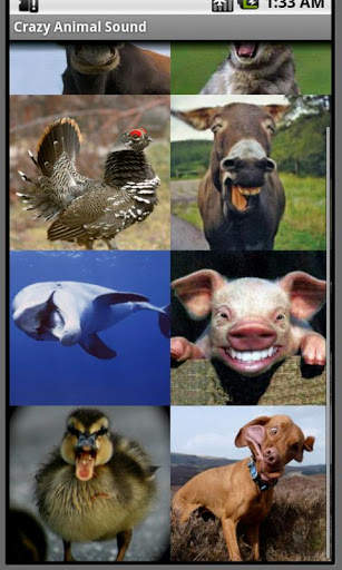 Crazy Animal Sound screenshot 2