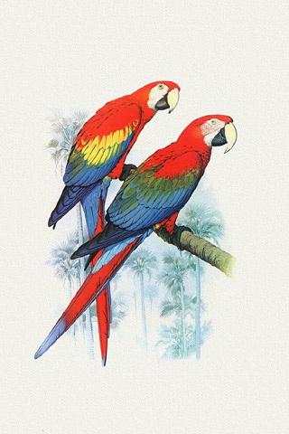 CRAZY BIRDS Live Wallpaper screenshot 1