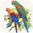 CRAZY BIRDS Live Wallpaper icon