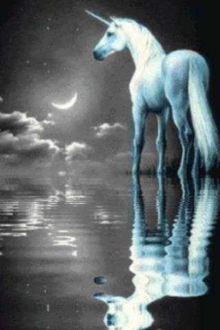 Unicorn Water and Moon Live Wa screenshot 1