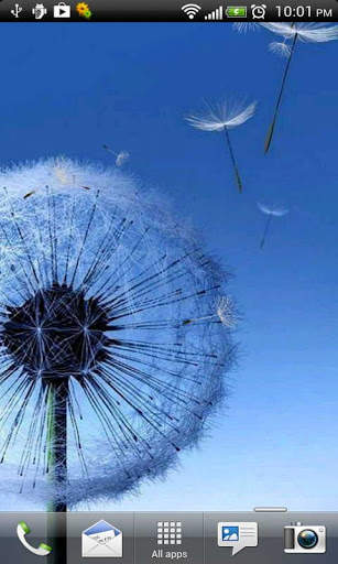 Galaxy S3/S4 Fly Dandelion screenshot 1