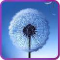 Galaxy S3 Fly Dandelion Live Wallpaper 1.0