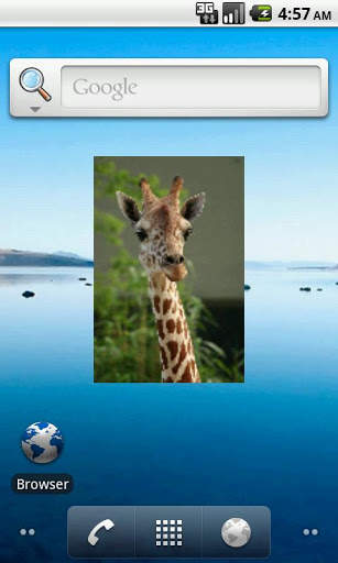 Image search &amp; show Widget screenshot 3