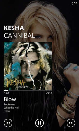 Zune UberMusic Skin screenshot 1