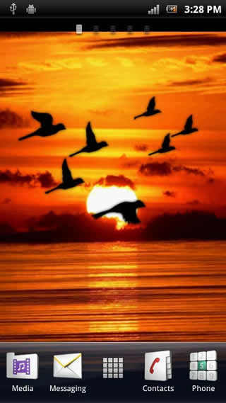 Bird Flock Live Wallpaper screenshot 1