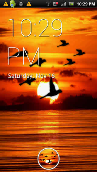 Bird Flock Live Wallpaper screenshot 3