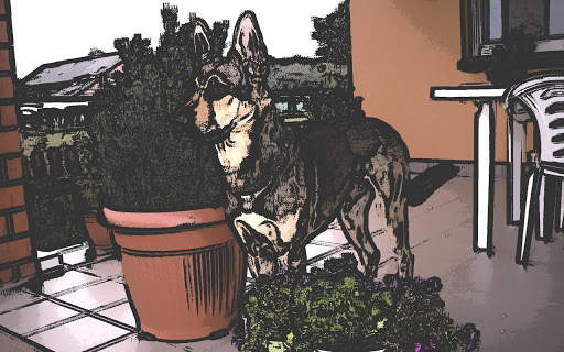 Cartoon Camera screenshot 2