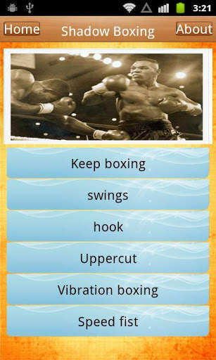 Free Boxing Techniques screenshot 4