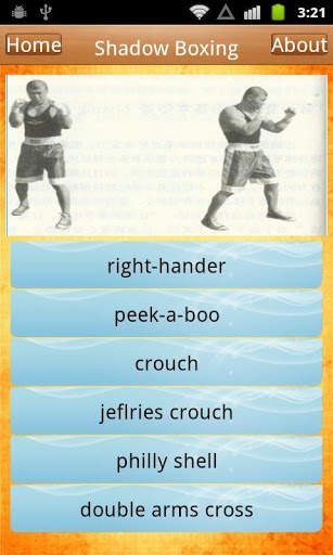 Free Boxing Techniques screenshot 3
