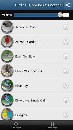 Bird Calls, Sounds &amp; Ringtones screenshot 2