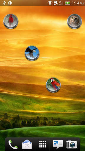 Bird Calls, Sounds &amp; Ringtones screenshot 5