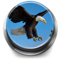 Bird Calls, Sounds &amp;amp; Ringtones icon