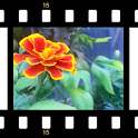 3D Garden Live Wallpaper Free icon