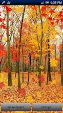 Maple Leaf Live Wallpaper screenshot 2