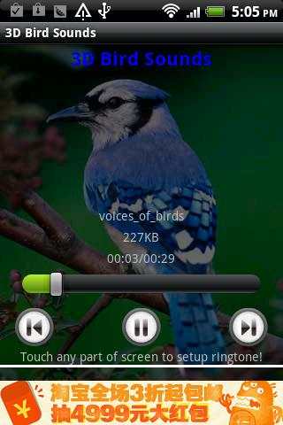 3D Bird Sounds screenshot 1