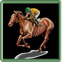 Horse Racing 1.0.0