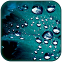 Rain Drop Live Wallpaper icon