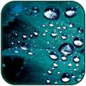 Rain Drop Live Wallpaper