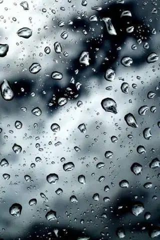 Rain Drop Live Wallpaper APK Download