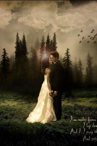 Twilight Live Wallpaper HD screenshot 1