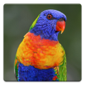 Parrot Sounds icon