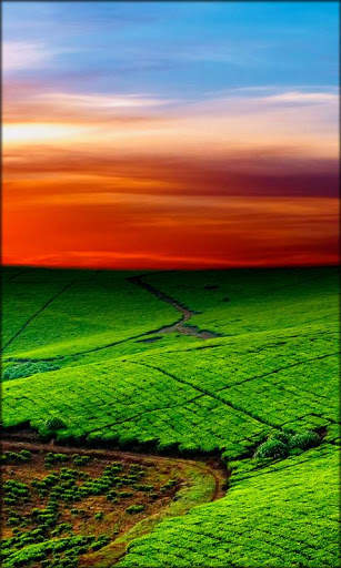 HTC One Live Wallpaper 5 تصوير الشاشة