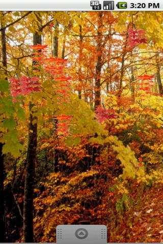 Autumn Leaves Live Wallpaper screenshot 2