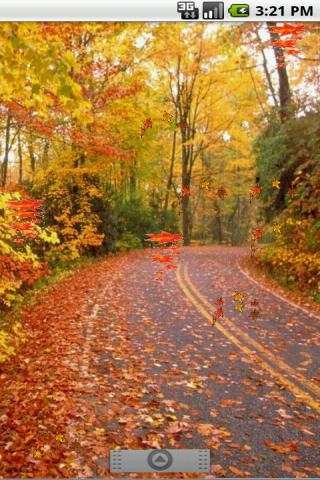 Autumn Leaves Live Wallpaper screenshot 4