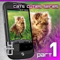Meaw Dance Cat Live Wallpaper icon