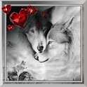 Love Wolf Best Live Wallpaper