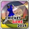 Cricket Game 2014