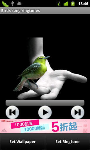 Birds song ringtones screenshot 1