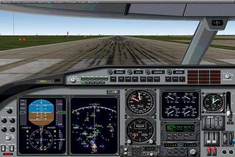 Flight Simulator screenshot 1
