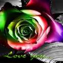 Love You Neon Rose Live Wallpa on 9Apps